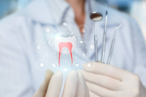 Professional  Holistic Dental Services in Britton, SD